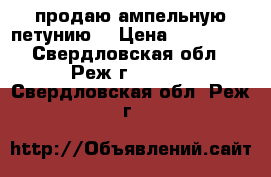 продаю ампельную петунию  › Цена ­ 100-350 - Свердловская обл., Реж г.  »    . Свердловская обл.,Реж г.